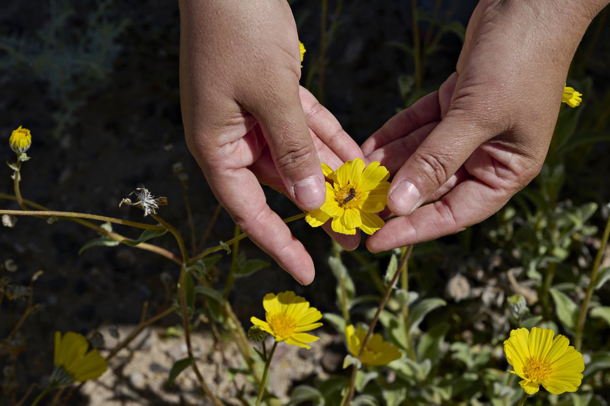 Bridget Bennett tweet media