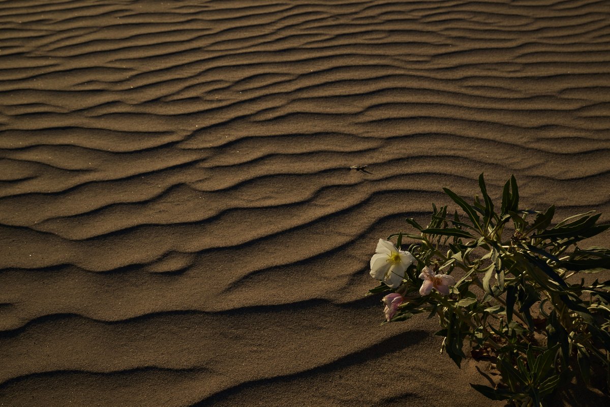 Bridget Bennett tweet media