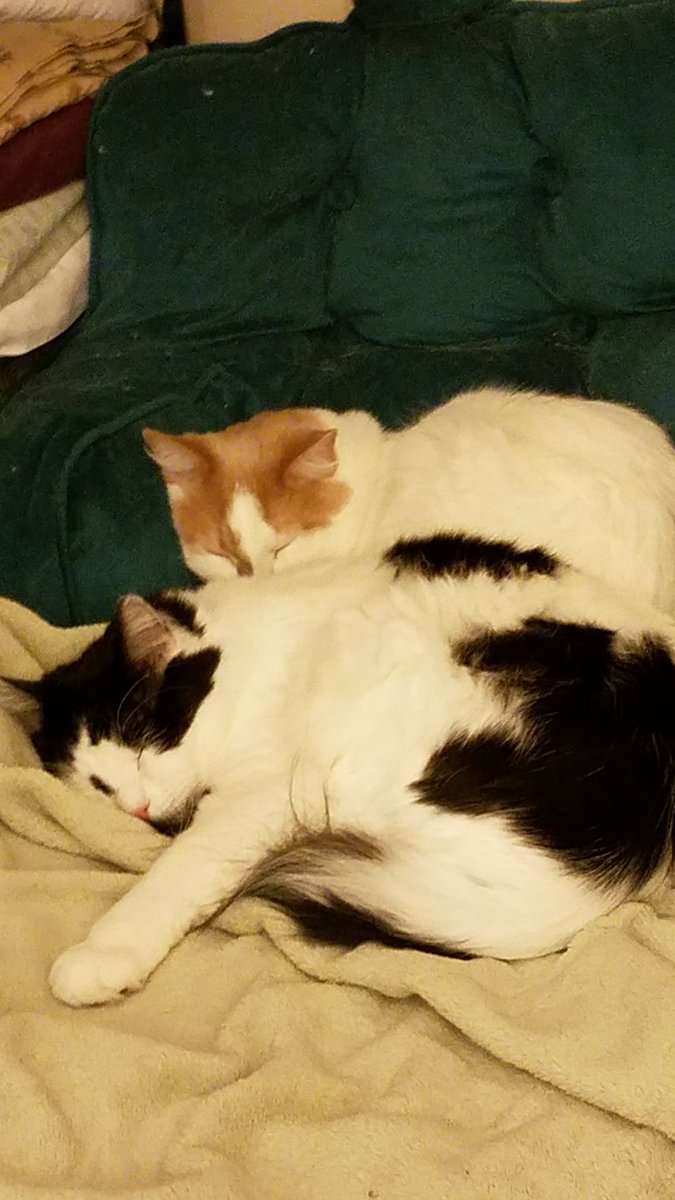bluesmith5 tweet media