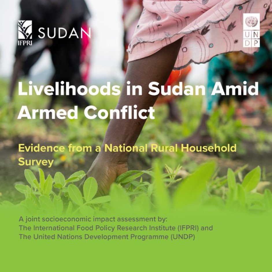 I invite you to review our new study on Sudan: bitly.ws/3hUR3 which warns that 50% of farmers in #Sudan could not plant this season due to internal &amp; external displacement, &amp; dwindling financing for farming processes, including purchasing seeds &amp; fertilizers