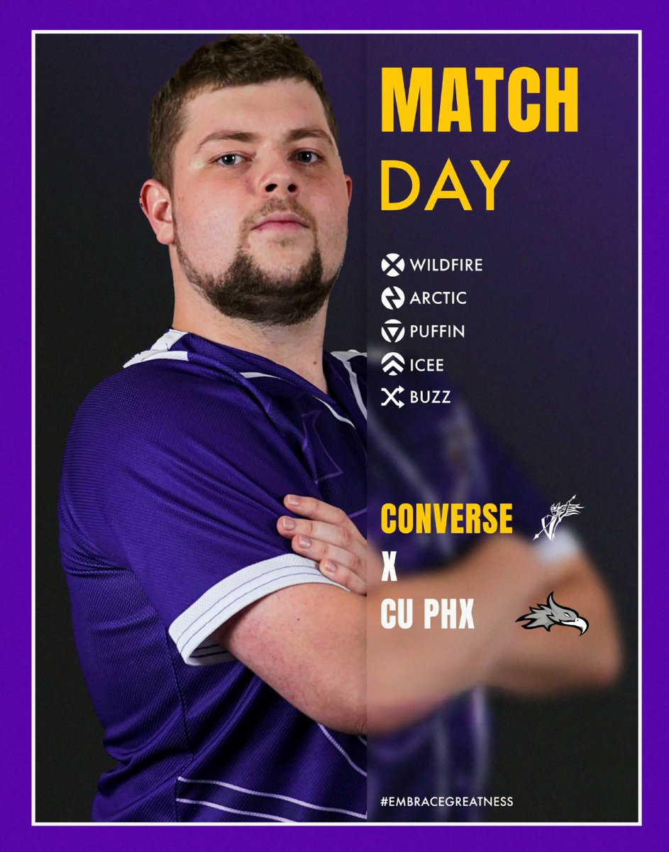 Fresh off 2 local lan championships, Val Purple heads into the fire of CVAL playoffs versus @CUeSports21 tonight!

#GoValkyries #EmbraceGreatness