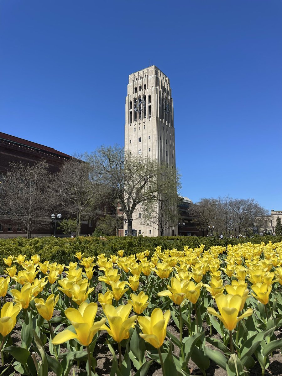 Tulips are blooming early this year. Get your <a href="/UMich/">University of Michigan</a>  grad pictures while you can!
