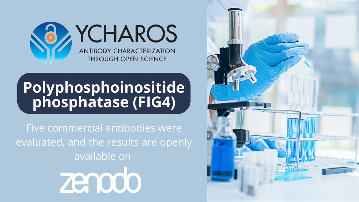 🔬Target spotlight: Polyphosphoinositide phosphatase, encoded by #FIG4 gene. Identify a high-performing FIG4 antibody by exploring this antibody characterization report, available on our @ZENODO_ORG community➡️ zenodo.org/records/108149…