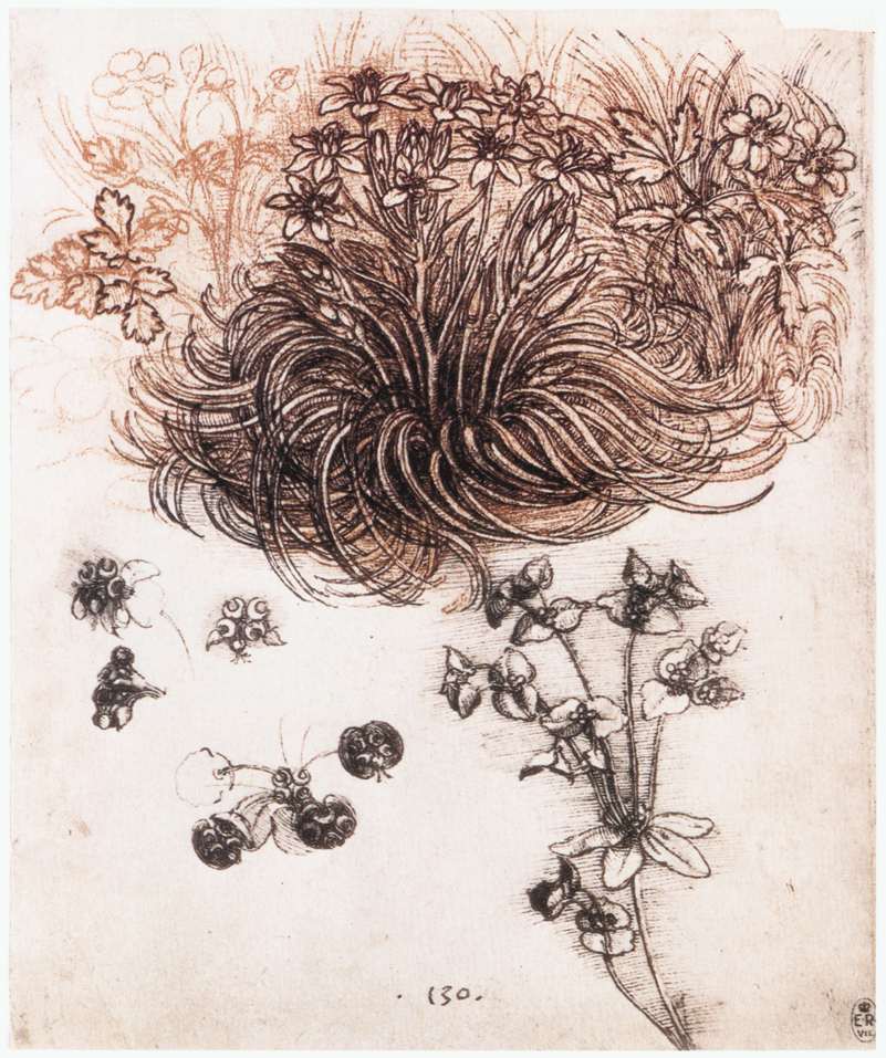 10. Botany He admittedly found much of his inspiration in nature: 'The painter strives and competes with nature. There is nothing in all nature without its reason, nothing is lacking, and nothing is superfluous. If you know the reason, you do not need the experience.'