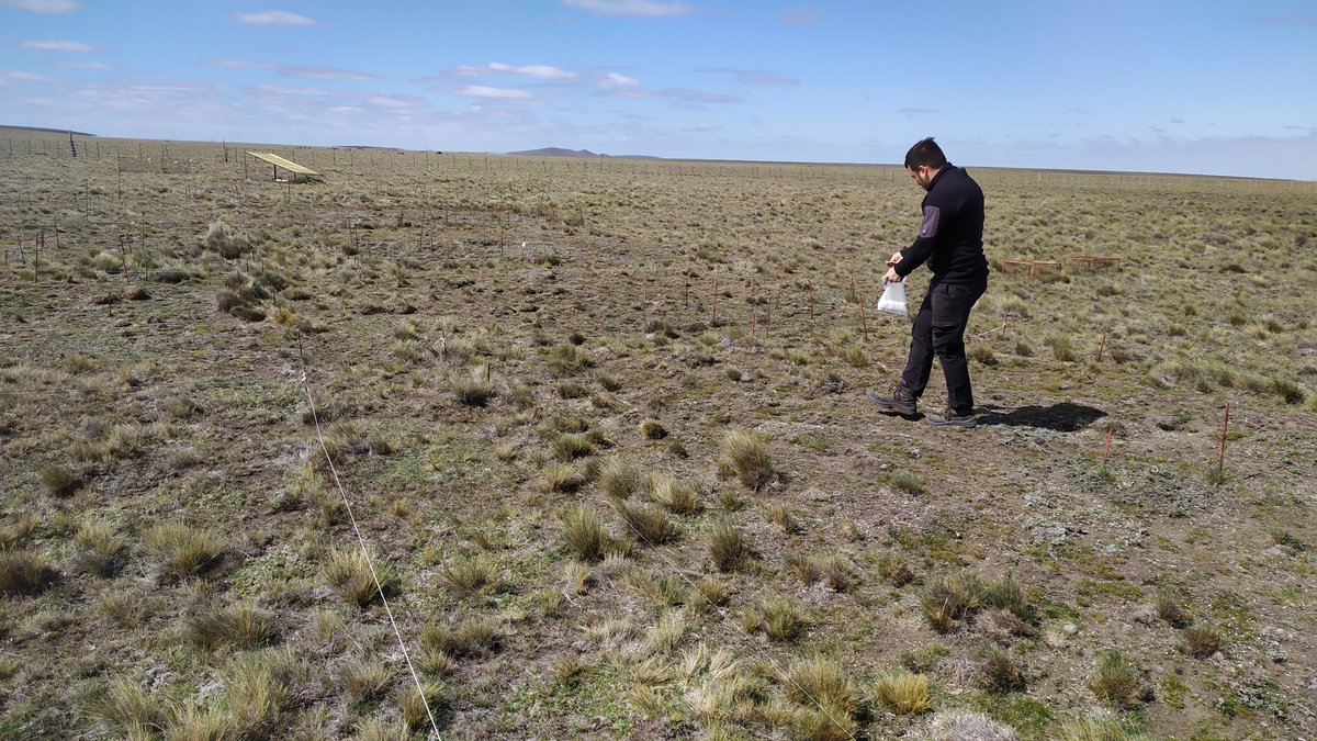 INTA Santa Cruz tweet media