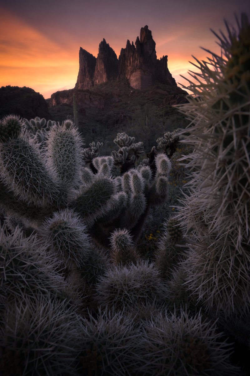 Snapped this the other night on my workshop to display how to focus stack and use a wide angle lens to fill up the frame to lead you into the scene. 📷🌵