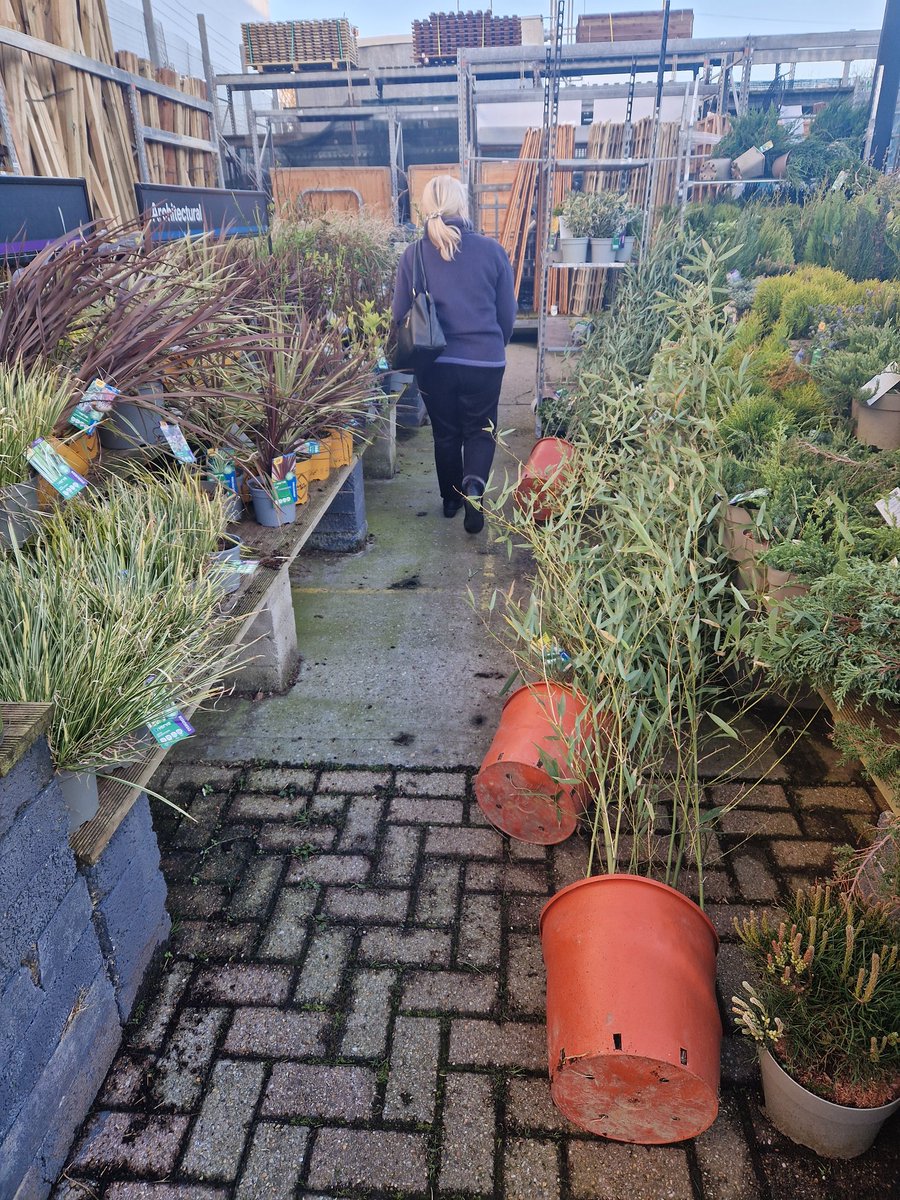 Mum convinced b&q to open the garden centre doors. We just had to accept that if we were hit by flying plants it wasn't their fault.