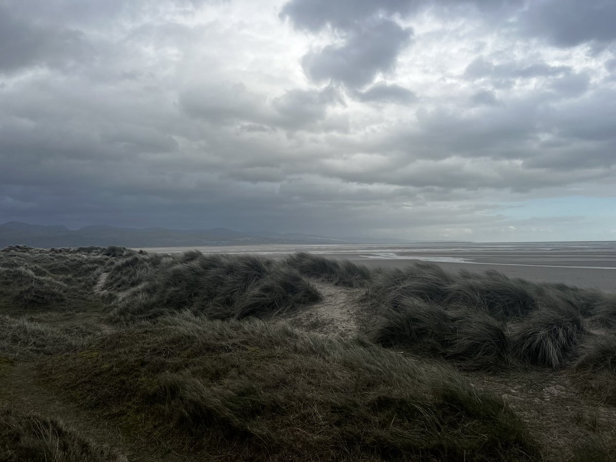 This is why we picked Porthmadog,  just look at that beach the boy has just ran his ass off 🤣🤣🤣🐶🐶🐶❤️❤️👍 #Blackrocksands