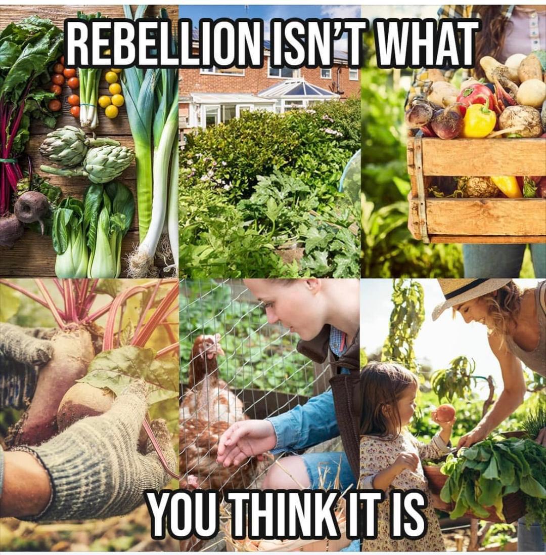 #FoodRevolution
#MoreFarmersMoreFood 
#GrowYourOwn 
#FoodHub
#CommunityGrowingGroups
#CommunityFarms 

Rebel. Grow food.