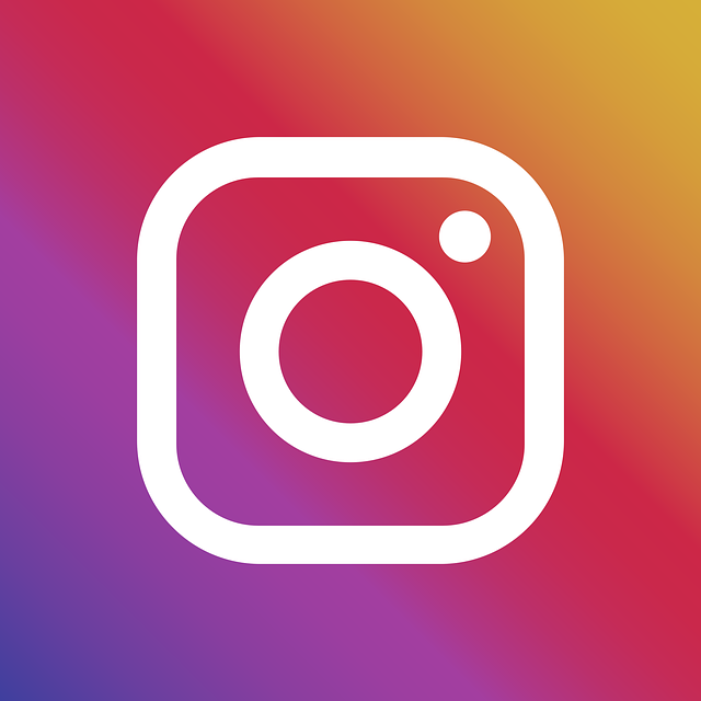 centralreality's tweet photo. 🚨AGORA: Alane acaba de atingir a marca de 4 MILHÕES de seguidores no Instagram. https://t.co/gPah3WVl7x