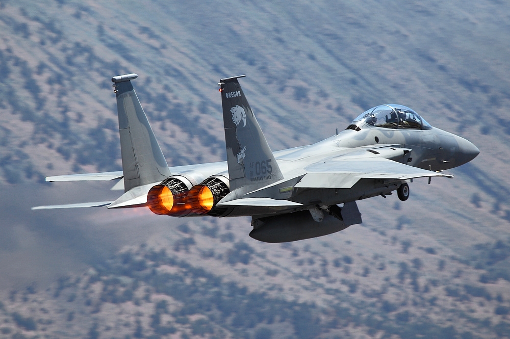 McDonnell Douglas F-15D Eagle 81-0065. 2011.