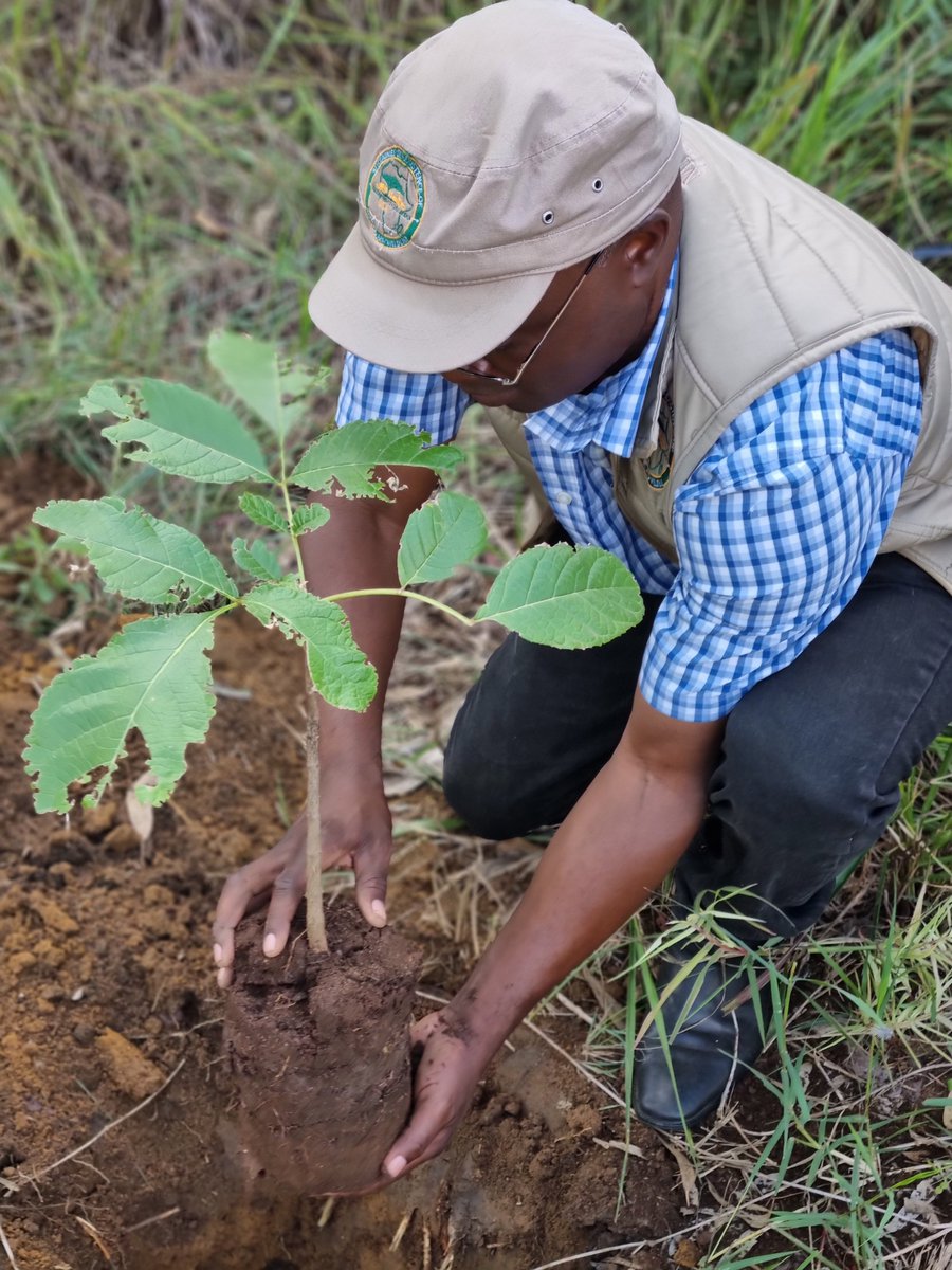 Green Communities Africa - GCA tweet media