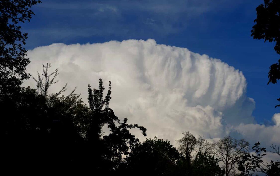 Schöner #Eisschirm vorhin bei #Potsdam Jungfernsee. Fotos: Nicole Bussmann @Kachelmannwettr @sturmwetter1703 Wetter Whatsapp Kanal whatsapp.com/channel/0029Va…