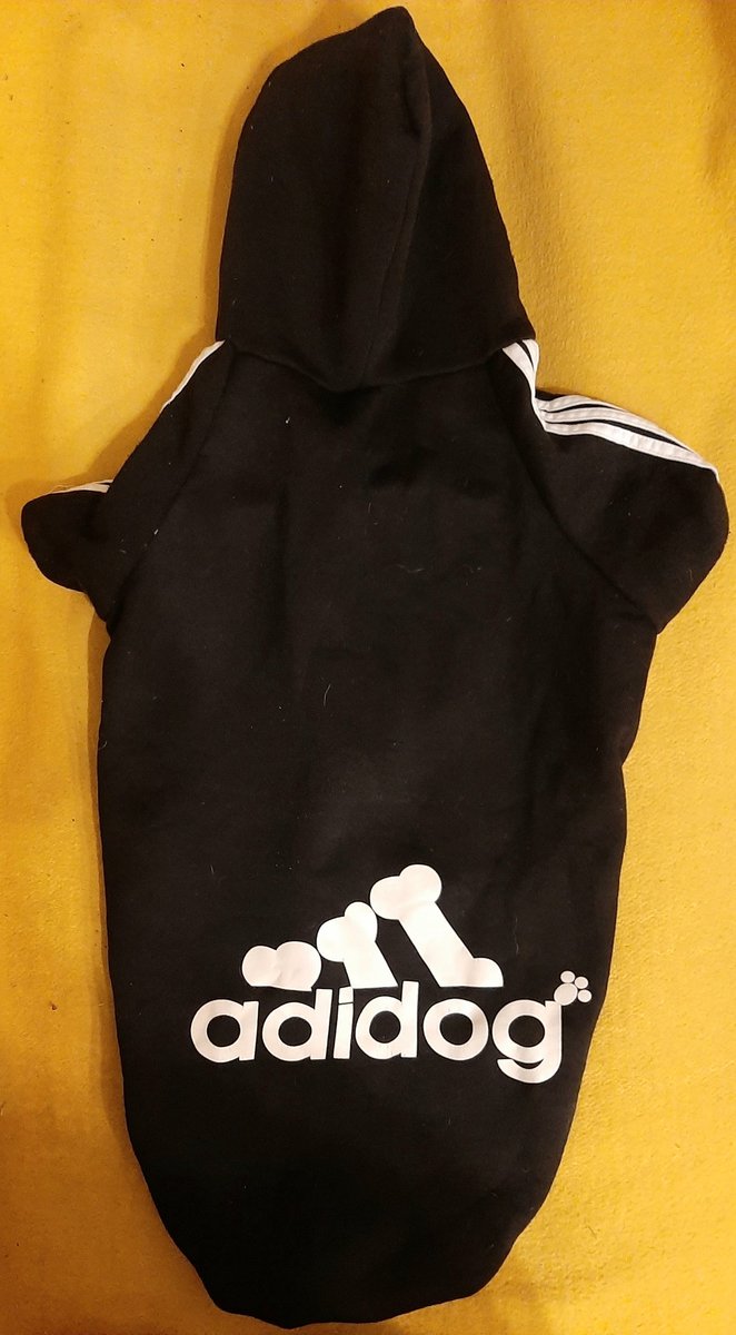 PaulinaKosowsk3's tweet photo. #adidas #adidog #animal #clothes #dog #black #fashion #Fashionista https://t.co/qrAvedlTfU
