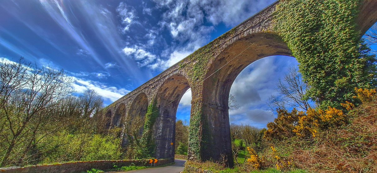 Durrow Viaduct, Co Waterford in the sunshine today. @AimsirTG4 @barrabest @deric_tv @DiscoverIreland @GoToIreland @discoverirl @ancienteastIRL @WaterfordANDme @Waterfordcamino @WaterfordGrnWay @WaterfordPocket @VisitWaterford @WaterfordCounci @Failte_Ireland