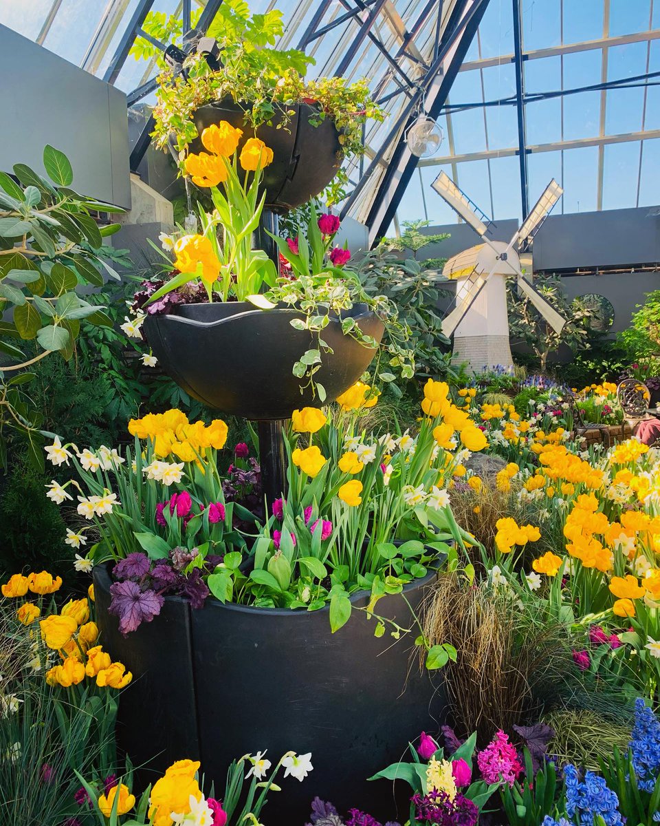 Happy Tourism Week! 🎉 Looking for things to do this week? Check out our Sail Into Spring feature show at the Muttart Conservatory. Enjoy the sweet essence of spring with colourful flowering tulips, daffodils, & aromatic hyacinths🪻 More info at edmonton.ca/MuttartEvents #Yeg