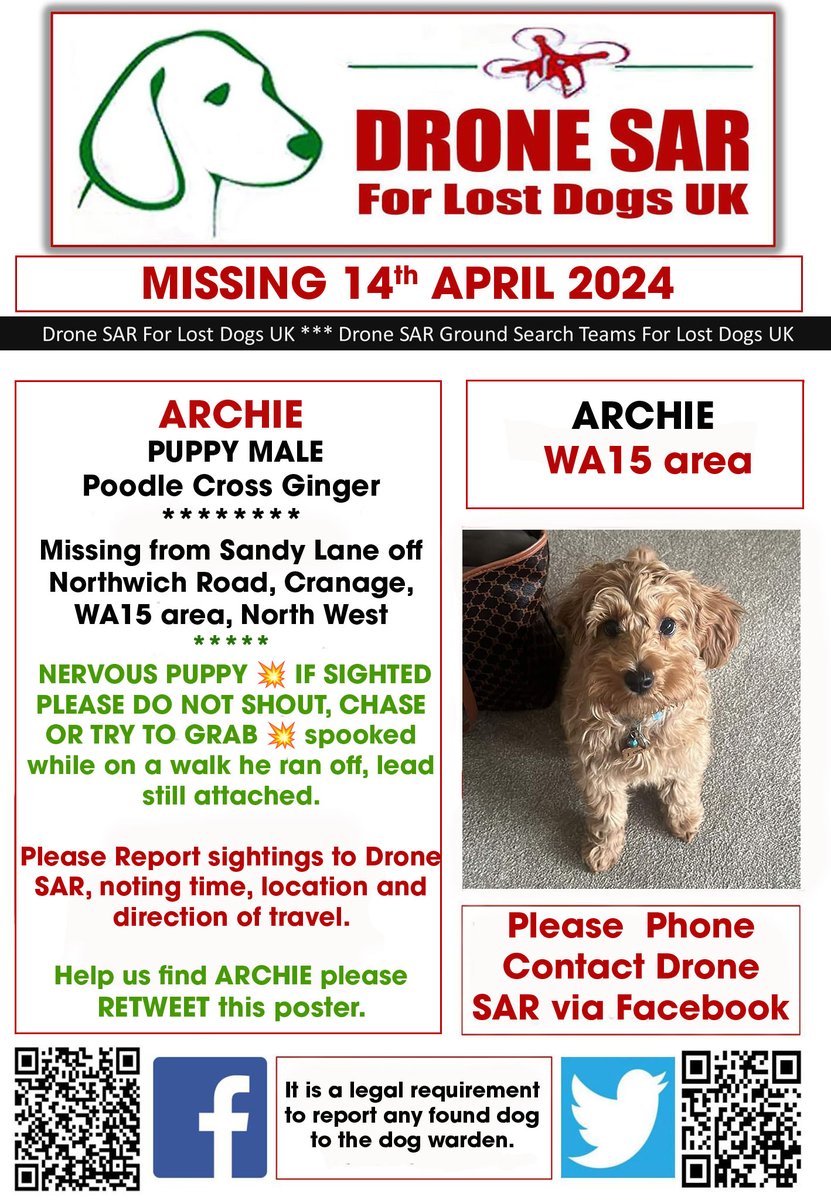 #LostDog #Alert ARCHIE POODLE X MALTESE
Male Poodle Cross Ginger (Age: Puppy)
Missing from Sandy Lane off Northwich Road, Cranage, WA15 area, North West on Sunday, 14th April 2024 #DroneSAR #MissingDog