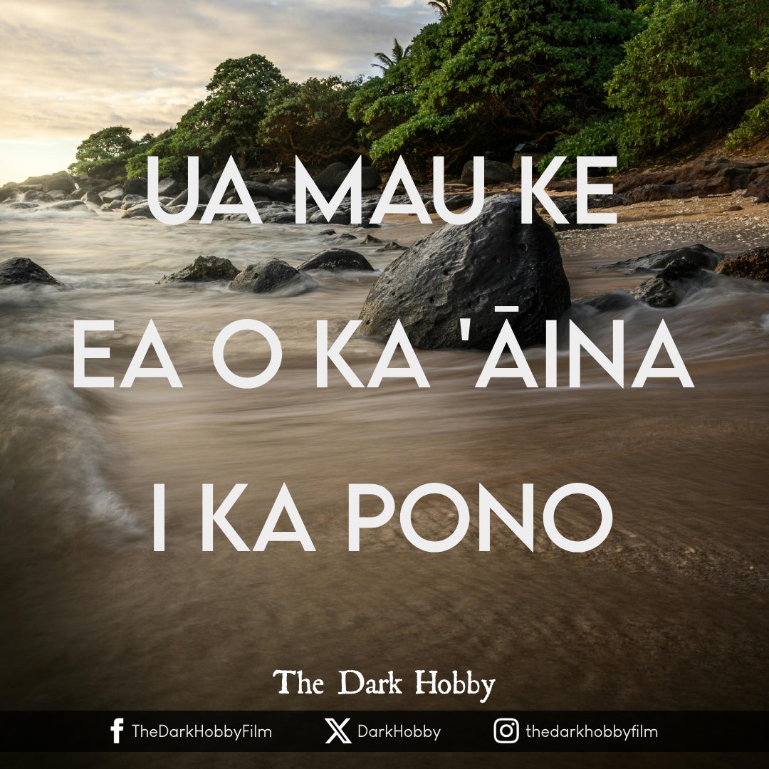 DarkHobby's tweet image. The Hawaiian state motto is: 
"Ua Mau ke Ea o ka ʻĀina i ka Pono"
which translates to: "The life of the land is perpetuated in righteousness"
If you treat your environment with respect, your environment will treat you in return.
#protectourreefs #protectourfish #fishwelfare