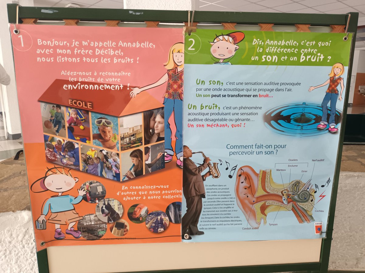 Collège Pierre Bonnard - le Cannet (06) tweet media