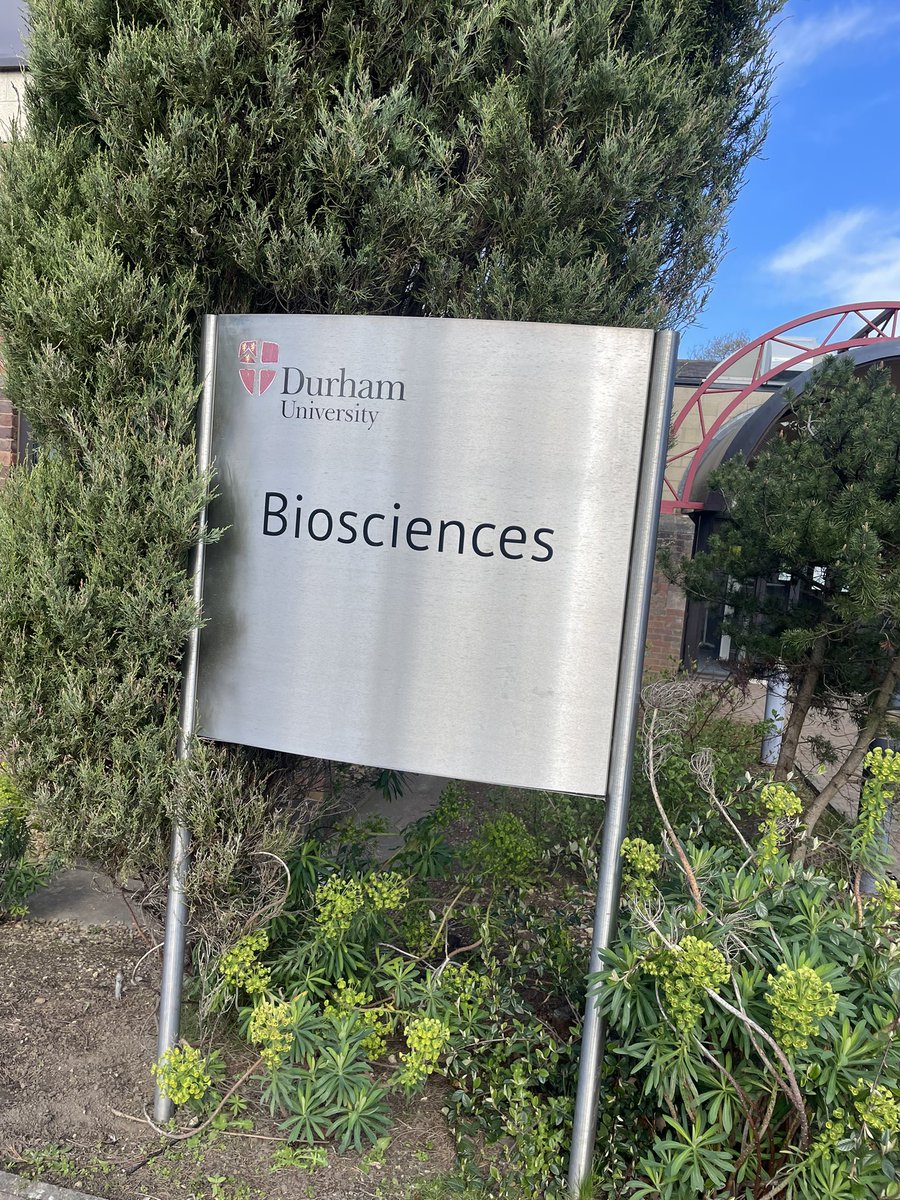 Rachel Dobson tweet media