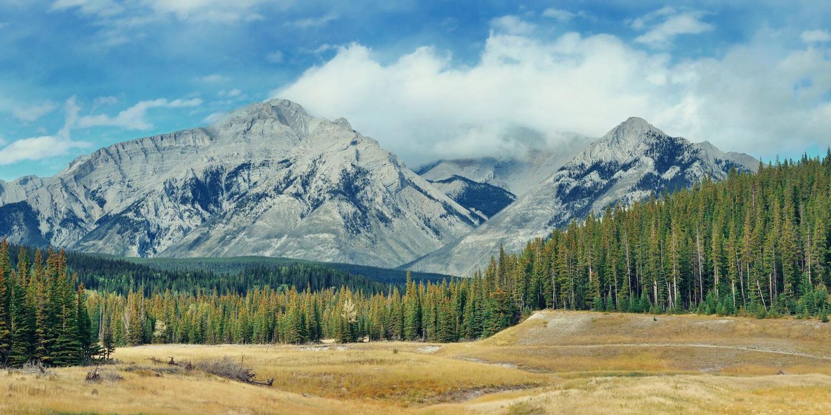 Landscape panorama of Banff National Park in Canada with snow capped mountain. It was so much fun shooting this 📸🤳
#canadatravels #canada #banffnationalpark