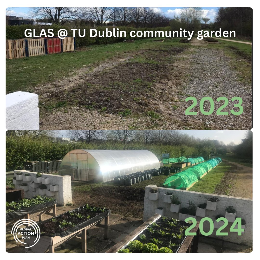 We will shortly mark the first anniversary of our #communitygarden in the grounds of @TUDublin_BN. What a difference one year has made!