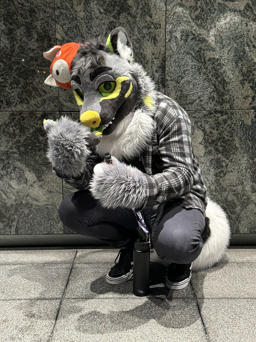 Owner vs sona vs fursuit!