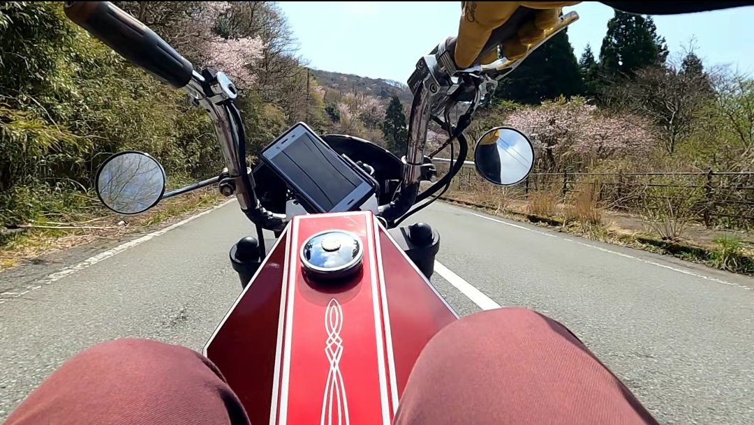 A24circusmonkey's tweet photo. 桜🌸走りながら見るのが好き
ここ数年、守りの人生だった
攻めて行ける気持ちが出てきた
現状で満足なんてしねぇよ
上しか、ねぇよな😎
#神風一門
#circusmonkey https://t.co/qf4wgfZIXG