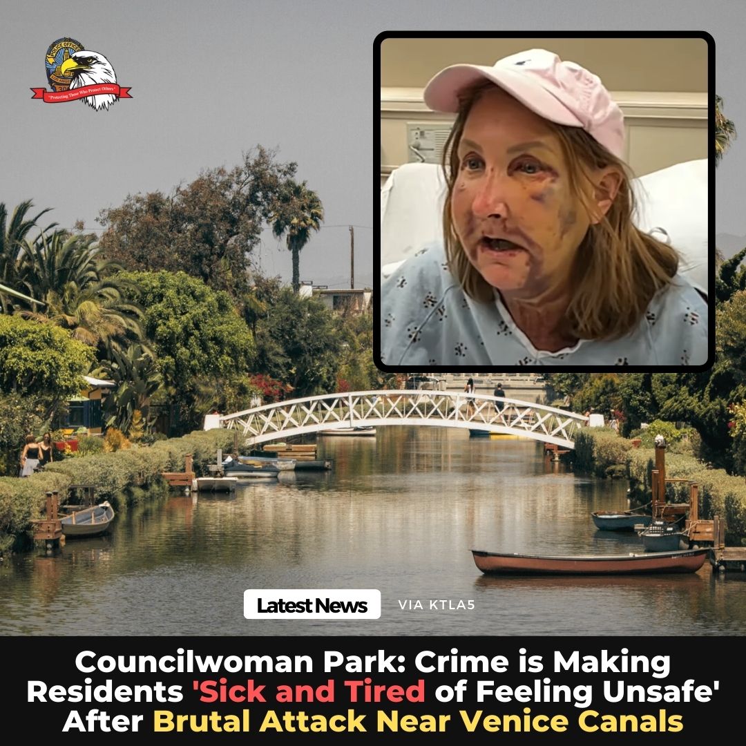 'It could have been any one of us -- your neighbor, your colleague, your friend, your sister, your wife. It is time that we get serious about public safety in Los Angeles.' Comments from Councilmember Traci Park following the vicious, unprovoked beating of 2 women near the Venice…