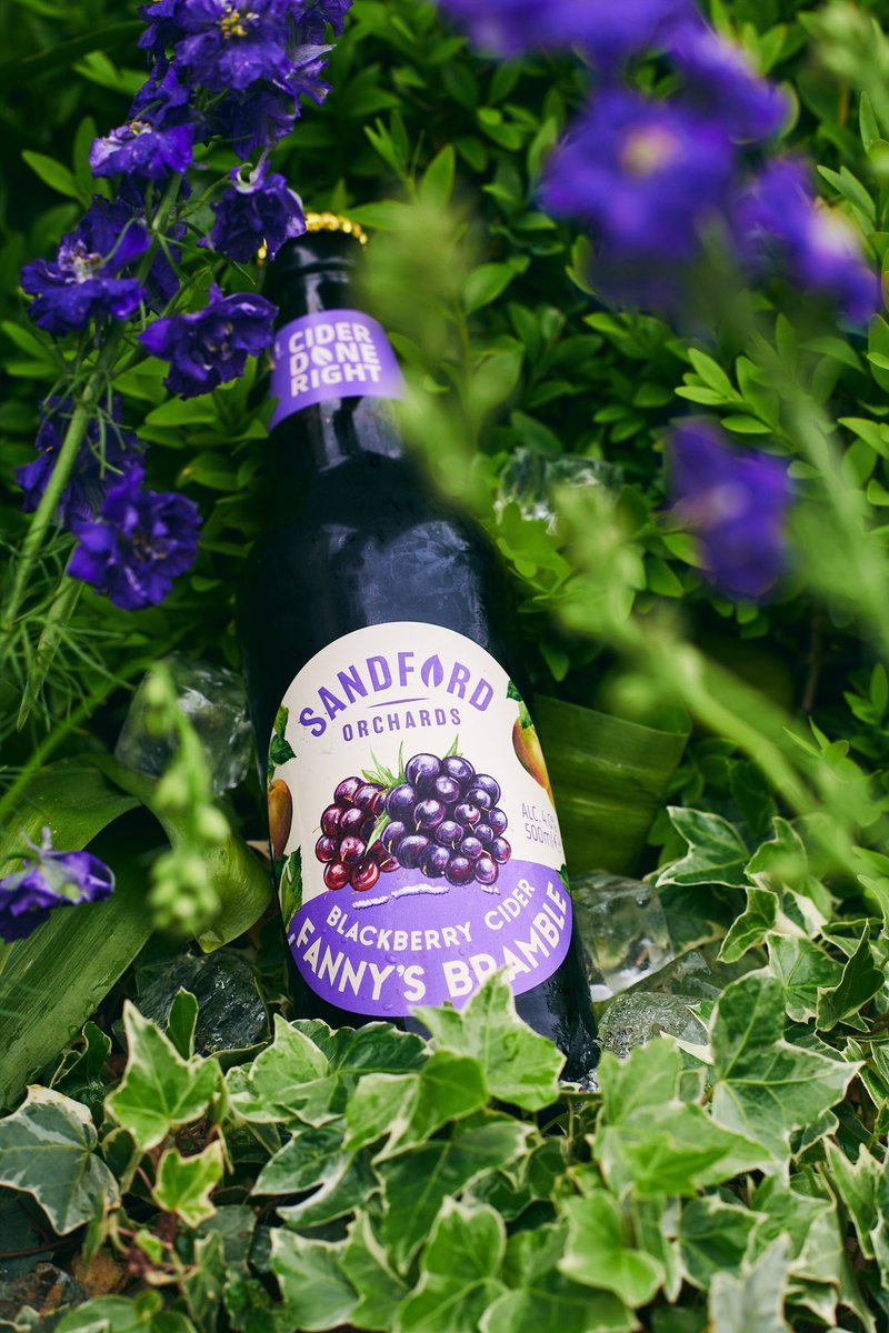 Who said cider has to be boring? Come and try any flavor from Sandford Orchards, like blackberry!😋🍎🍏

📸 @shakethatcamera 

#pub #princeofwalespub #molesey #hamptoncourt #riverthames #london #surrey #localpub #hamptoncourtvillage #pubfood  #sandford #cider #sandfordorchards