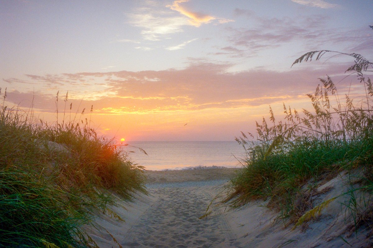 nev_in_color's tweet photo. get me seaside to hide away 🎞️ https://t.co/2UfBx5bHc4