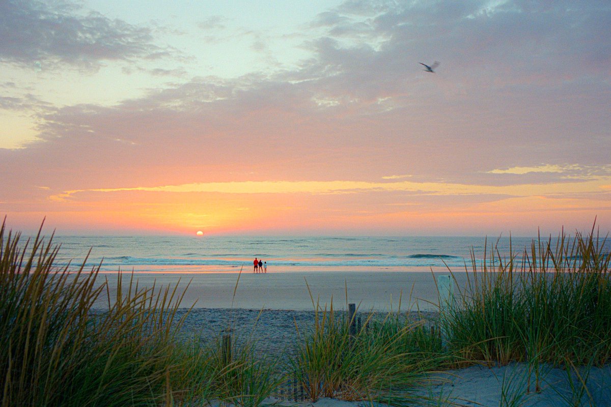 nev_in_color's tweet photo. get me seaside to hide away 🎞️ https://t.co/2UfBx5bHc4