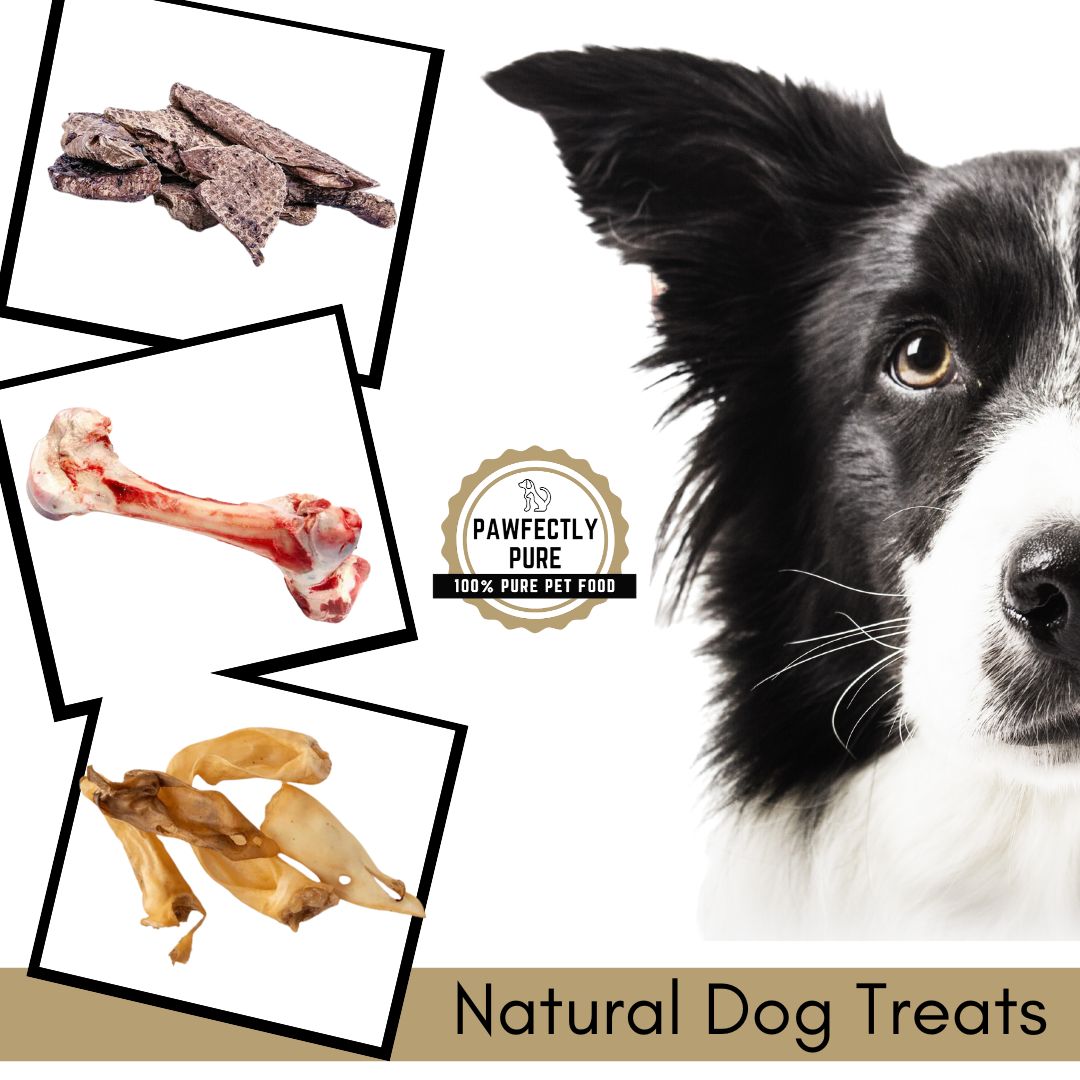 If you are sick of all the junk in stores, head to our website to see all the natural dog treats we have to offer.

lambtasticfarms.com/pawfectlypure

#lambtastic #lambtasticfarms #lambing #shepherd
#foodlover #canadianbusiness #lethbridge #sheep
#lambsofinstagram #meat
