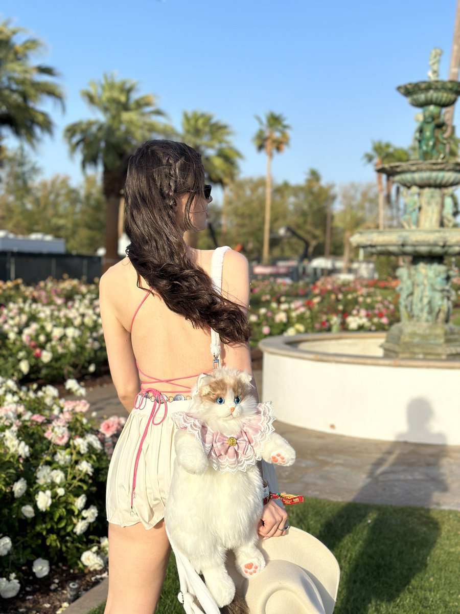 Meryem Can tweet media