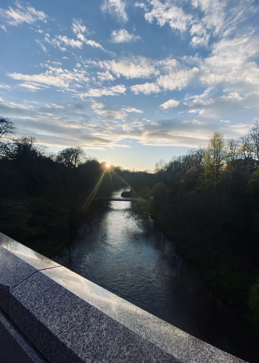 At last … a pleasant evening #glasgow #botanics