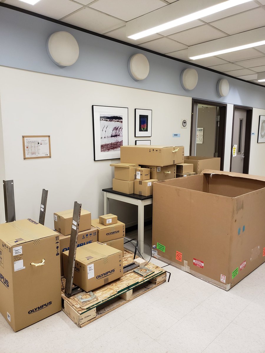 LaTorre LAB tweet media