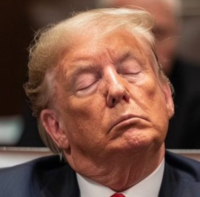 Nothing to see here, just a criminal asleep in the courtroom. I must admit, my heart skipped a beat when I first saw this. #SleepyDon #TrumpTrial