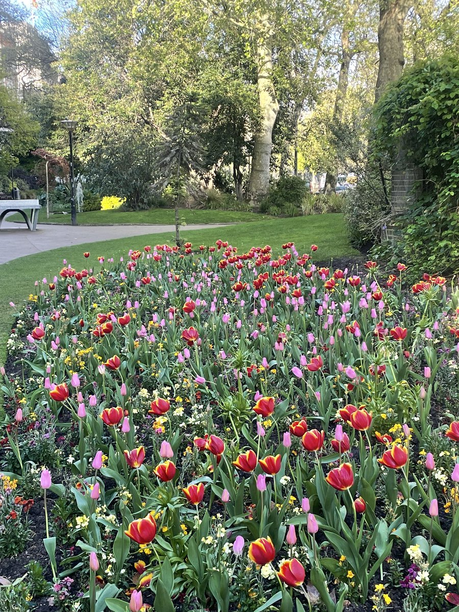 Kate Contreras tweet media