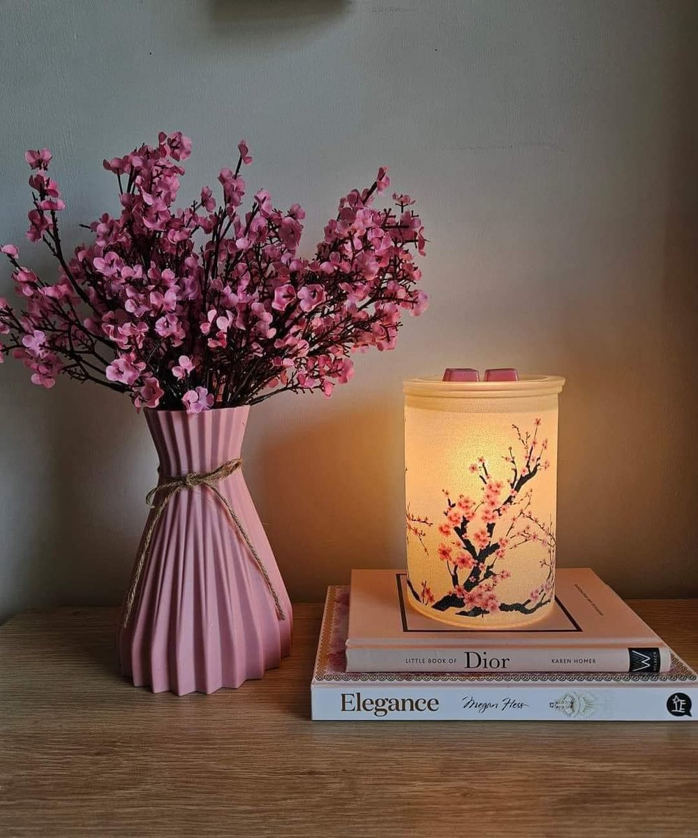 Blossom Warmer 🌸
March 1 to Aug. 31, 2024, Scentsy will donate from each sale to the Scentsy Family Foundation to support nonprofits in the U.S. providing emergency shelters, counseling & other services to survivors of domestic violence.
lisavaughn.scentsy.us/party/18196125…
#charity #decor