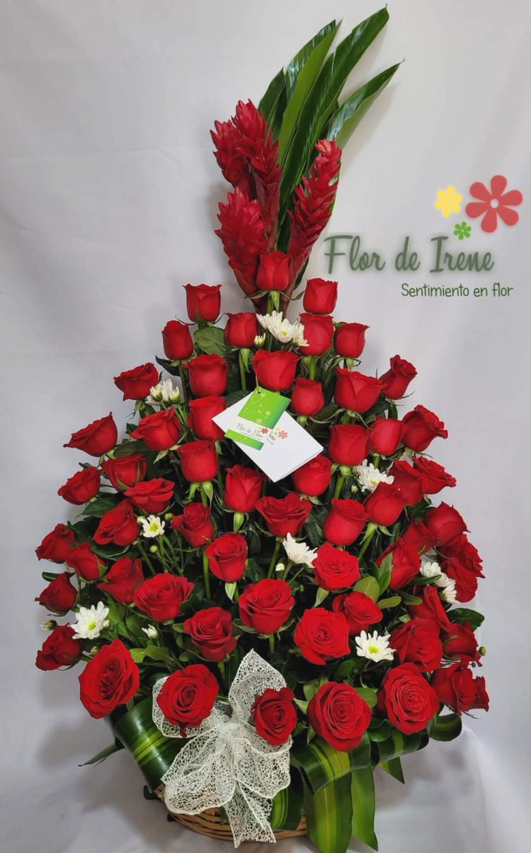 ¡Feliz cumpleaños Rocío!

Uno de nuestros mejores diseños para expresar tus sentimientos.

Canasta de 60 rosas con hawaianas.
Gracias por tu preferencia.

#FelizCumpleaños #Flores #Rosas #Floreria #FlordeIrene #Envioadomicilio #SentimientoenFlor