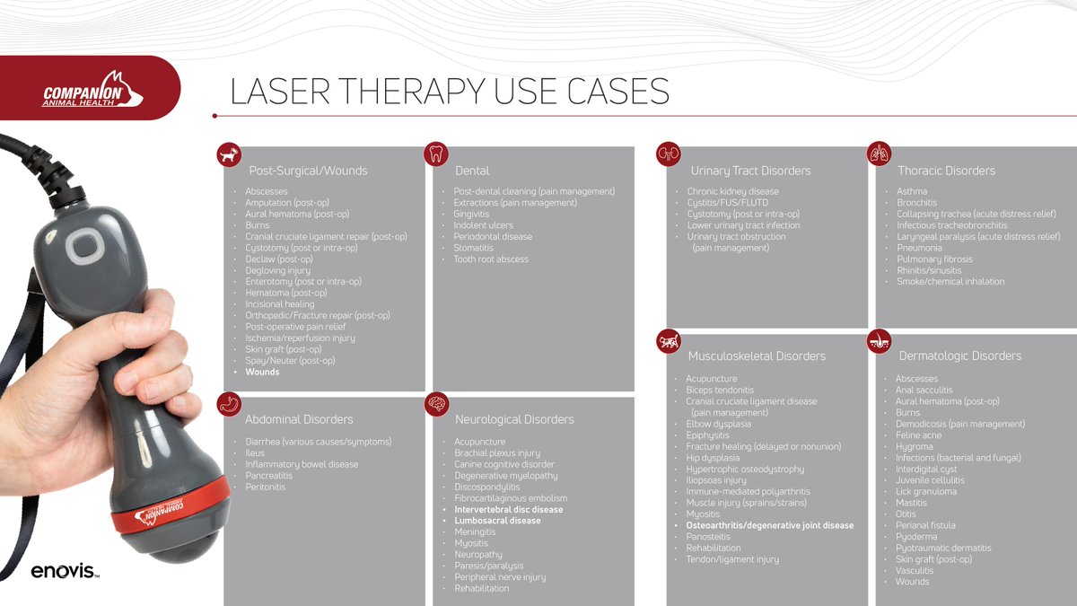 enovismedtech's tweet photo. #BetterIs advancing animal health globally. Our @CompanionLaser team offers doctor-prescribed, technician-driven laser therapy, reducing pet pain & inflammation for happier, healthier lives. ❤️🐾
➡️ Learn more: https://t.co/AZNUuNROpk
#Enovis #MedTech #VetMed #PetHealth https://t.co/a41hntjs7J
