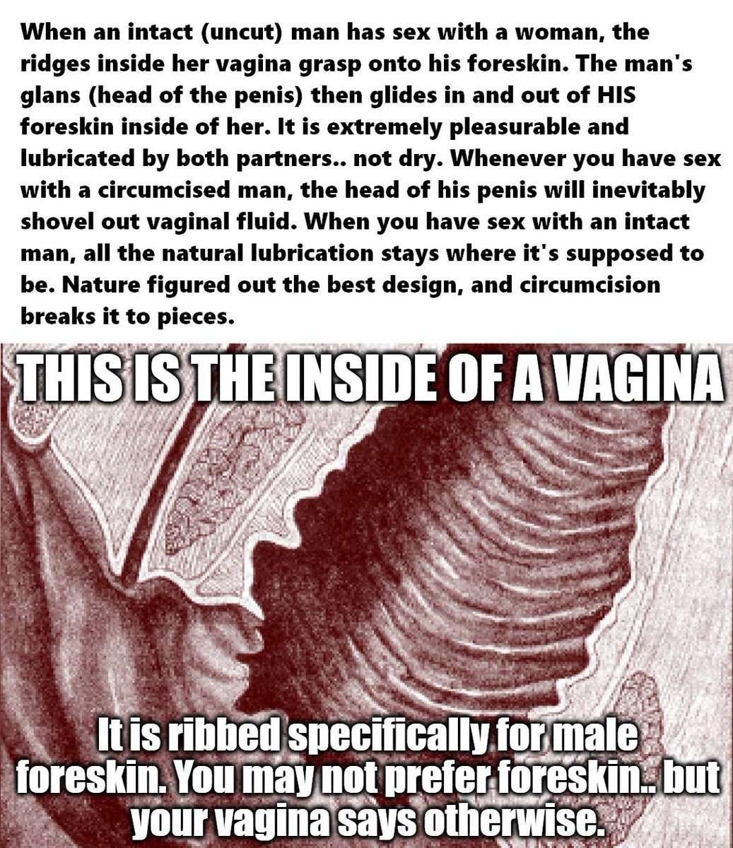 ❝You may not prefer foreskin.. but your vagina says otherwise.❞ Diagram from _Sex As Nature Intended It_ p. 71. (link in reply)