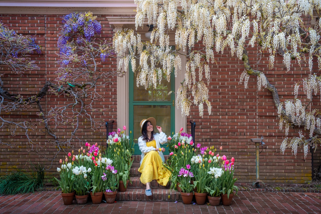 We’re wild for wisteria! Tag us in your best selfies & portraits using the hashtag “#FiloliBlooms” 🌸 Weekend sellouts expected! Advanced reservations required, including member admission. Photo by Albert Dros @albertdrosphoto Instagram & Facebook: albertdrosphotography