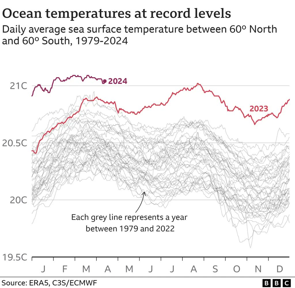 #CoralBleaching: Fourth global mass stress episode underway - and here is the culprit... bbc.co.uk/news/science-e… #ClimateChange is literally off the chart 🌊🔥🪸💀