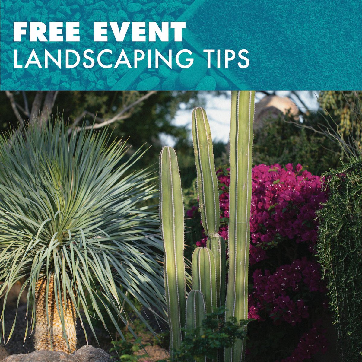 FREE EVENT: Queen Creek – Backyard Makeover 🌳 This class will teach you ways to revamp your grass yard into a colorful, fragrant, interesting, eco-compatible and useful outdoor living space. @townofqueencreek #WUIW 🗓️ April 20 @ 9:00 am - 11:00 am 📍buff.ly/41Ryr0p