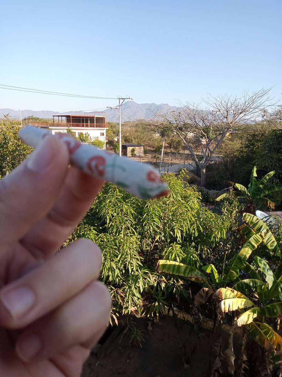 DAFLOWASHERE's tweet photo. No hay mal que un buen toke no cure 😶‍🌫️😶‍🌫️😶‍🌫️🥴😋🛫 https://t.co/XgHhOwVQP9