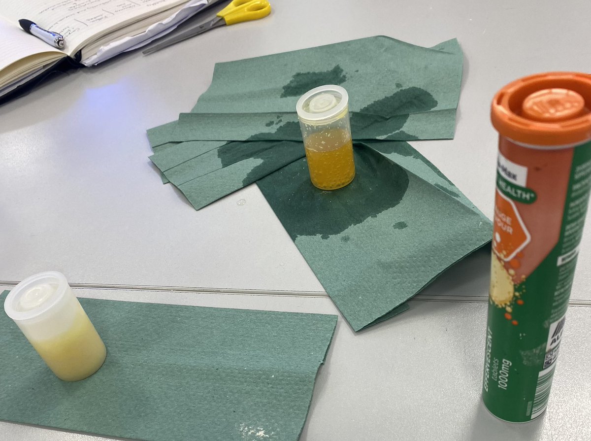 ScienceHubHEB's tweet photo. Such a great morning of working scientifically workshops for #EYFS KS1 KS2 and TAs @BESTEducation5 @mrkingstsci @STEM_UH @kulvinderj @ComputingHubSAC https://t.co/ZjwUkBl8kF