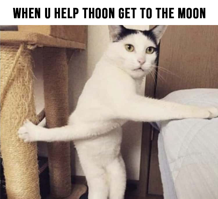ThoonMoon's tweet photo. 🌕 Who says dogs can't fly? Support #ThoonMoon on his lunar journey. Every retweet counts! #LunarBark https://t.co/r0BBNPCw5Z