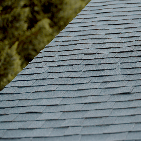 Shingles – one of the most popular ways to elevate both the look and protection of your home. With different options available for your unique style we can help you upgrade your home today!

We’re here to help:
🔗 bit.ly/3EcnJY2
📞 800-771-0778