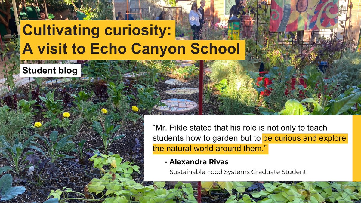 ASU Swette Center for Sustainable Food Systems tweet media